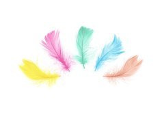 Piórka dekoracyjne mix kolorów krótkie - 50 szt.