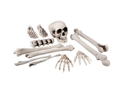 Zestaw kości z czaszką - 12 szt.