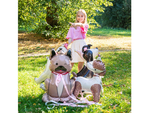 Balon foliowy stojący Pies Border Collie - 76x92 cm - 1 szt.