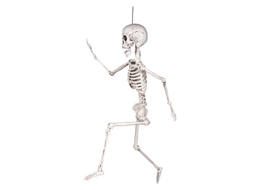 Dekoracja wisząca Szkielet - 60 cm - 1 szt.