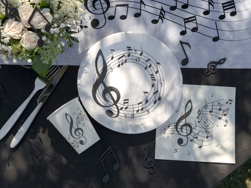 Serwetki papierowe Pięciolinia - 33 cm - 20 szt.