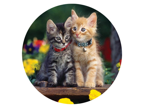 Dekoracyjny opłatek tortowy Kotki - 20 cm