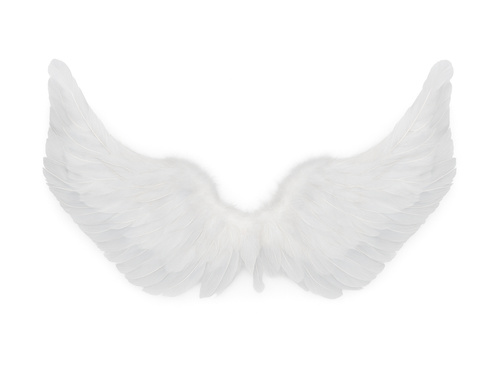 Skrzydła anioła białe - 65 x 40 cm - 1 szt.