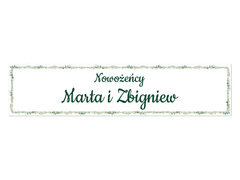 Tablica rejestracyjna personalizowana - 52 x 12 cm - 2 szt.