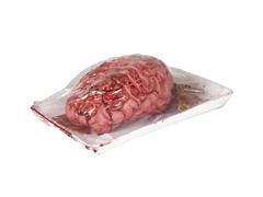 Sztuczny mózg na tacce - 1 szt.