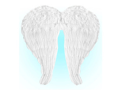 Skrzydła anioła białe z piórami - 60 x 46 cm - 1 szt.