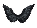Skrzydła anioła czarne z aureolą - 72 x 40 cm - 1 szt.