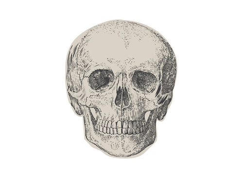 Serwetki papierowe Czacha - 16 x 16 cm - 16 szt.