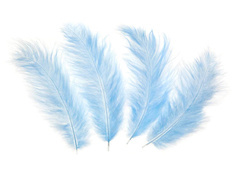 Piórka dekoracyjne niebieskie długie - 50 szt.