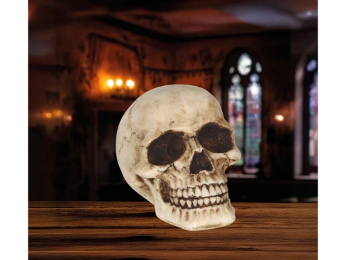 Czaszka na Halloween - 1 szt.