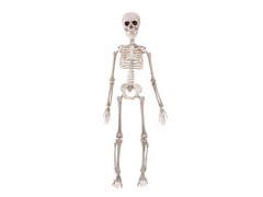 Dekoracja wisząca Szkielet - 50 cm - 1 szt.