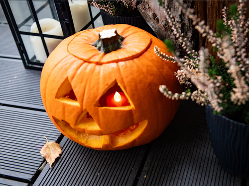 Zestaw do rzeźbienia w Dyni - 1 kpl.