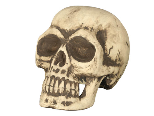 Czaszka na Halloween - 32 cm - 1 szt.
