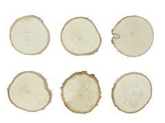 Drewniane wizytówki na stół 8-9 cm - 6 szt.