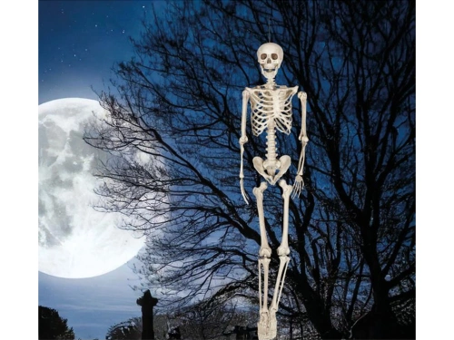 Dekoracja wisząca Szkielet - 160 cm - 1 szt.