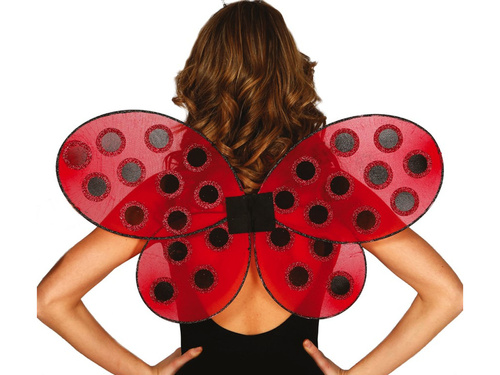 Skrzydełka Biedronka - 1 para