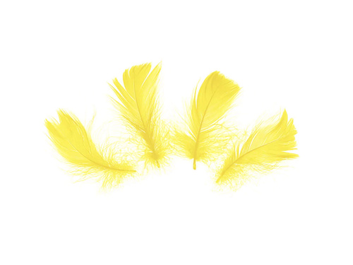 Piórka dekoracyjne żółte krótkie - 50 szt.
