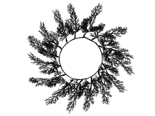 Podstawki pod talerz z czarnymi gałązkami - 40 cm - 4 szt.