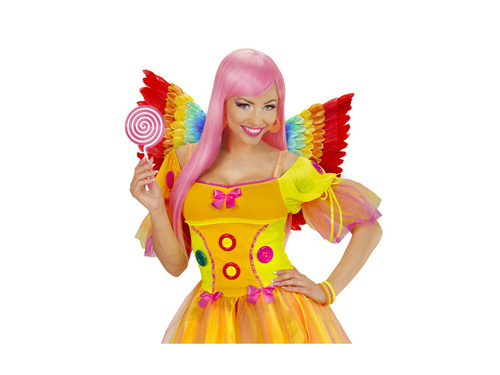 Tęczowe skrzydła z piór 60×40 cm