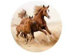 Dekoracyjny opłatek tortowy Konie - 20 cm