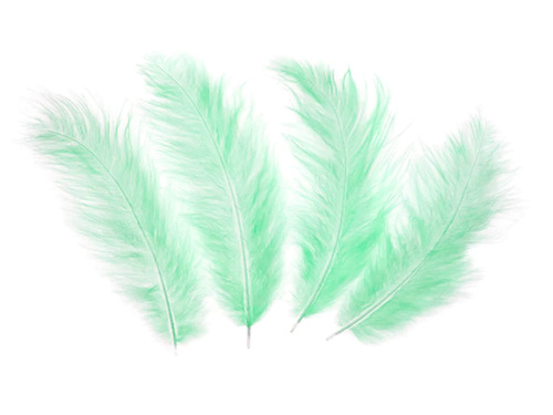 Piórka dekoracyjne zielone długie - 50 szt.