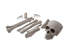 Zestaw kości z czaszką - 12 szt.